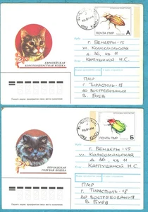 2009 Transnistria Cats Insectes 2 used covers - Picture 1 of 2