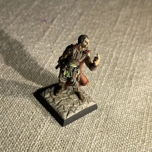 PRO PAINTED REAPER MINIATURES D&D DUNGEONS & DRAGONS Warrior Champion - Picture 1 of 7