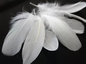 1 confezione - Piuma sciolta di oca bianca Nagoire 0,25 once Fornitore Halloween Matrimonio - Foto 1 di 5