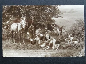 Hunting Fox & Hounds HOUNDS & A SHORT REST c1910 RP Postcard by EAS - Imagen 1 de 3