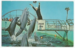 Postal vintage de Marineland Porpoises Leap Florida FL - Imagen 1 de 2