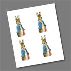 Peter Rabbit Beatrix Potter Autocollants Stickers 2019 x 4