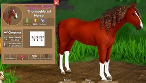 Wild Horse Islands - Chestnut Leafy THOUGHBRED Horse - IUH - Bild 1 von 1