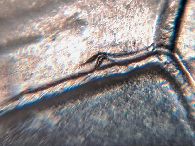  Hole on the Boat 2019-D Double Die Obverse IDAHO Quarter Extremely RARE - Image 1 of 4