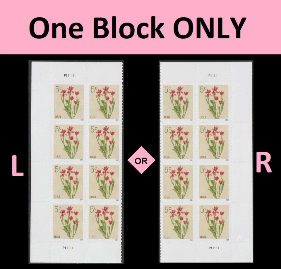 US 5900 Flowers Red Tulips 5c plate block 8 MNH 2024 - Image 1 of 1