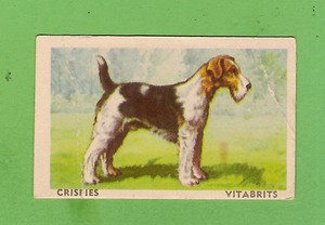 1949 FAVOURITE DOG CARD #32 - WIRED HAIRED TERRIER, 2 CEREAL LEGEND