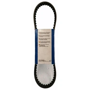 Cinghia trasmissione Dayco 8133 Aprilia Sr 50cc H2O ditech-carburatore 200-2003 - Foto 1 di 1