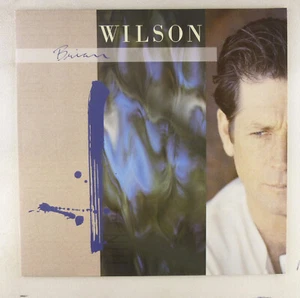 12" LP Vinyl Brian Wilson - D303 H10 - Picture 1 of 4