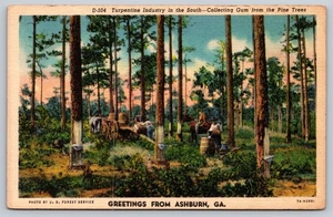 Postkarte Georgia Ashburn Grüße Terpentinindustrie Sammeln Kaugummi Kiefern - Bild 1 von 2