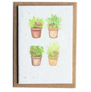 Tarjeta de flores silvestres plantables con papel de flores silvestres y hierbas. 4 ollas de hierbas, nuevo concepto - Imagen 1 de 1