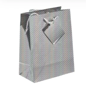 6 XL BOLSOS XGRANDES PLATA NAVIDAD CUMPLEAÑOS REGALO FIESTA BOLSO REGALO - Imagen 1 de 1