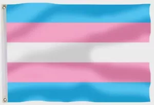 Transgender Pride Flagge Lgbt Fahne Transsexuell Flaggen 90X150cm Fahnen 2 Ösen - Bild 1 von 3