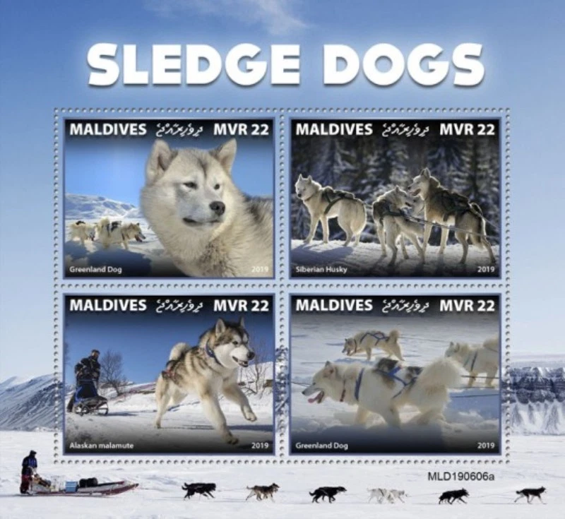 Maldives - 2019 Sledge Dogs - 4 Stamp Sheet - MLD190606a - Image 1 of 1