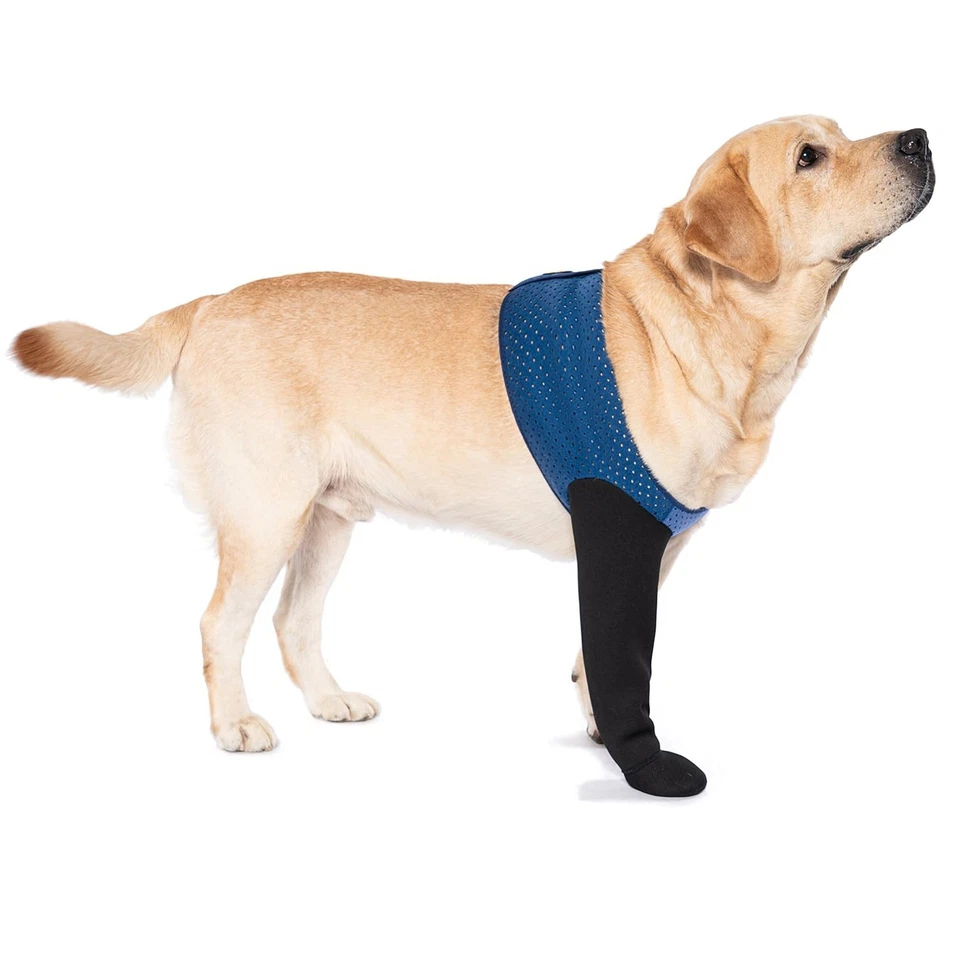 COODEO Calcetines para Perro para Evitar Lamer Patas, Botas Curativas y Protectores de Patas (R/M) Foto 1 de 4
