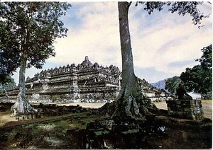 Cartolina d'epoca - Borobudur il più grande tempio buddista nel centro di Giava Indonesia - Foto 1 di 1