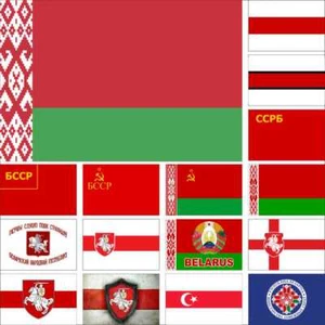 Bandera de Bielorrusia RSS de Bielorrusia Anti-Bolchevique CoA Armas Lipka Ministerio de Tártaros - Imagen 1 de 23