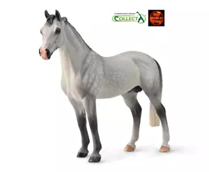 Hanoverian Stallion Dappled Grey Horse Toy Model Figure by CollectA 88957 New - Foto 1 di 1