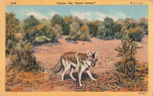 Kojote Postkarte The Desert Outlaw Poststempel 1943 S2 - Bild 1 von 2