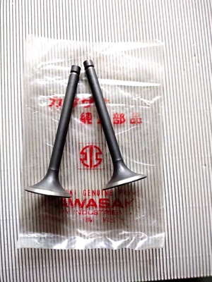 2x Z1R Z1000 A1 A2 Z1000E Válvula de escape OEM Kawasaki 12005-009 1977-1980 NOS Foto 1 de 4