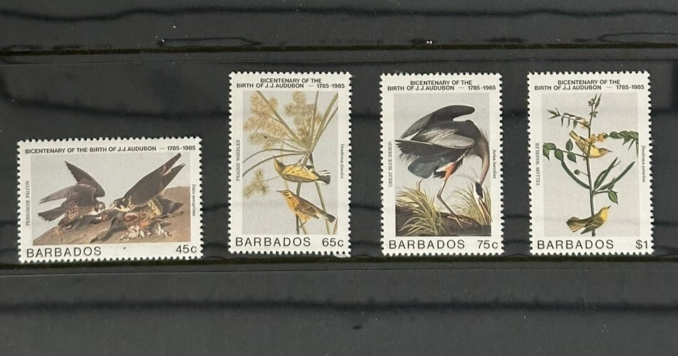 巴巴多斯邮票 Sc# 665-668 - 奥杜邦鸟 — 第 1/1 张图片