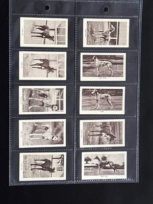MORRIS-FULL SET- RACING GREYHOUNDS (25 CARDS) EXCELLENT - Image 1 of 4