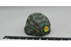 DAMTOYS DAM 78052 1/6 Chinese Armed Force Snow Leopard Commando Unit Team Helmet - Picture 1 of 1