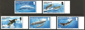 BRITISH ANTARCTIC TERRITORY BAT 2015 Whales set of 5 mint MNH SG#663-668 - Picture 1 of 1