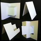 10 Blank Cards & Envelopes / Scallop Edge / step card / DL / Horizontal / Swing