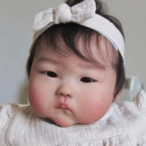 Bambola Asiatica Face Reborn Baby 20 pollici palpebra singola con pelo corto panno corpo NUOVO - Foto 1 di 4