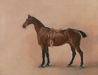 Study of a Saddled Bay Hunter John Ferneley Pferd Sattel Tiere Jagd B A3 00114