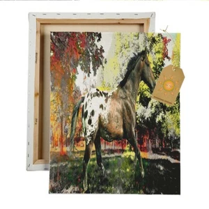Black Blanket Appaloosa Autumn Leaves Canvas Wall Art - Picture 1 of 1