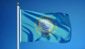 NEUE SOUTH DAKOTA 2x3ft FLAGGE NEU überlegene Qualität verblassen widerstandsfähig Flagge US-Verkäufer - Bild 1 von 3