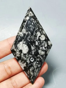 Rare Natural Insect Fossil Jade Rhombus Reiki Stone Healing - Picture 1 of 8