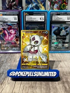 Carta Pokemon Froslass 226/203 Holo Secret rara cielo in evoluzione - Foto 1 di 2