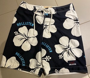 hollister bathing suits mens