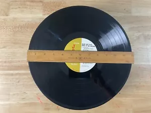 SET: 100 12" LP VINYL SCHALLPLATTEN FÜR KUNSTHANDWERK PARTY DEKORATION UPCYCLING - Bild 1 von 2