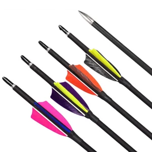 31 Zoll Carbonpfeile SP900 Jagdpfeile Naturfeder Recurve Compoundbogen Jagd - Picture 1 of 16