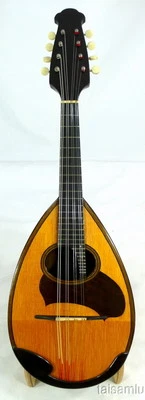 Mandolina Japón S.Watanabe Bowlback sólido de abeto y palo de rosa, estuche rígido, OJMN84 Foto 1 de 4