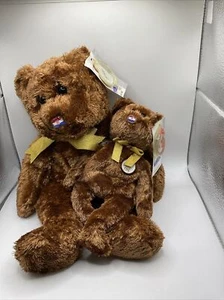Paquete TY Beanie Baby Champion 2002 Copa Mundial de la FIFA Croacia Buddy & Bear con etiquetas B - Imagen 1 de 15