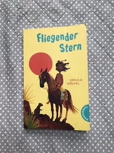 Fliegender Stern, Ursula Wölfel, Thienemann Verlag - Bild 1 von 6