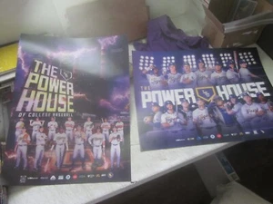 LSU TIGERS 2023 AND 2024 BASEBALL POSTERS COLLEGE WORLD SERIES CHAMPS 🐯🏆 - Picture 1 of 3