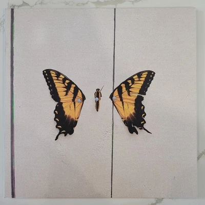 Paramore - Brand New Eyes Vinyl LP - Near Mint - Fueled By Ramen 7567-89561-3 Foto 1 de 4