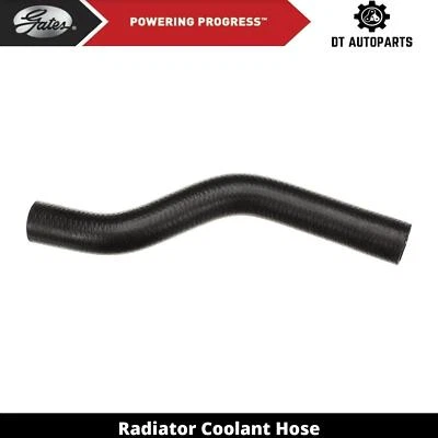 Manguera de refrigerante de radiador de gas 2,4 L L4 2002-2008 Toyota Solara puertas superiores 2003 Foto 1 de 4