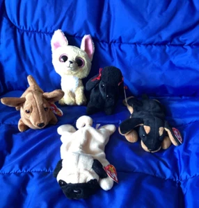 Ty Beanie Baby Lot of 5 Dogs - Pre-owned - Picture 1 of 14