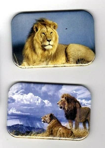 LIONS 2 REFRIGERATOR MAGNET 2" X 3" WITH ROUNDED CORNER - Picture 1 of 4