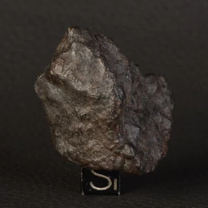 Météorite NWA 15742 de 35,09 g individuelle Chondrite Type L-melt rock  - Imagen 1 de 15