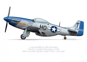 Mustang A68-175 N51DT 2010 'Slender, Tender and Tall' - A3+ Profile Print - Bild 1 von 4