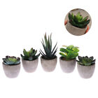  5 Pcs Artificial Plants Indoors Pots Succulent Decorative Succulents