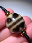 Tibetan Old Dzi Bead " Tiger Tooth " Daluo Amulet Pendant Necklace 20.3mmx17.5mm