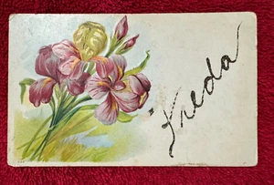 Cartolina ~ Freda ~ USATA - Foto 1 di 2